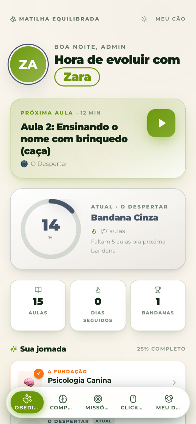 Tela real do app: Sua jornada, aula a aula